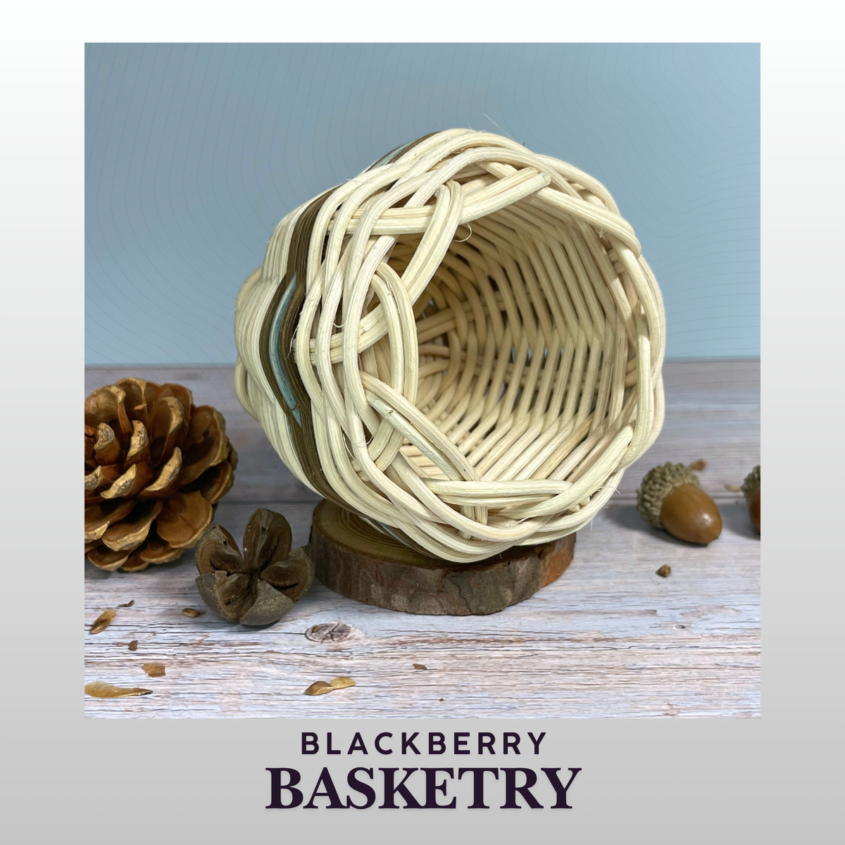Cherokee Double Walled Miniature Basket – Hand Dyed and Woven Reed | Art by Blackberry Basketry