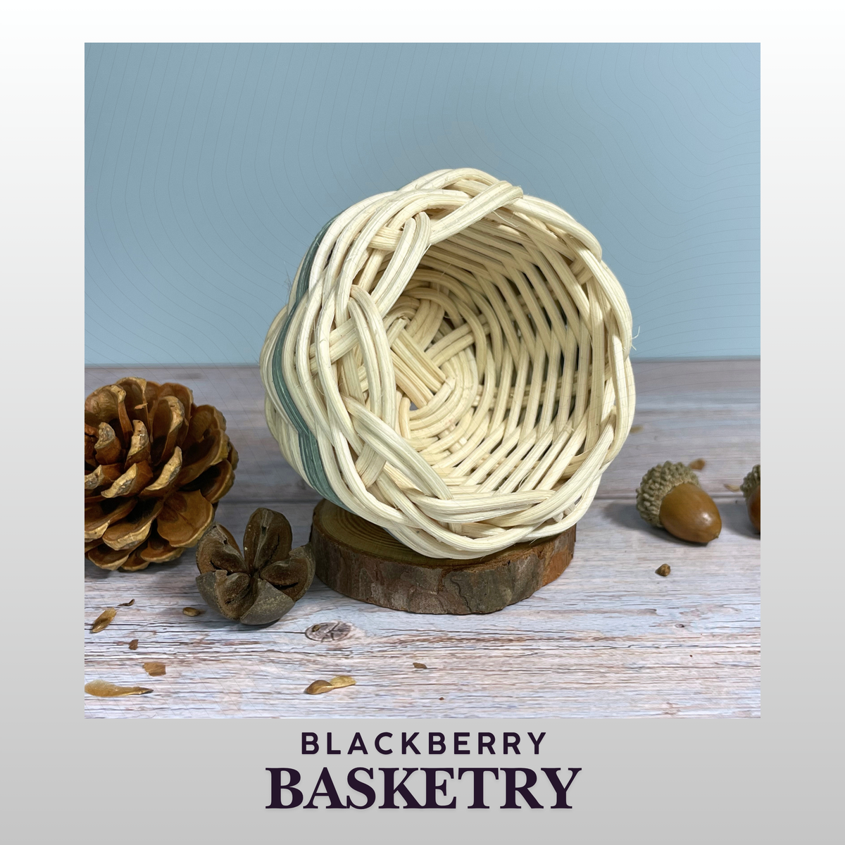 Cherokee Double Walled Miniature Basket – Hand Dyed and Woven Reed | Art by Blackberry Basketry