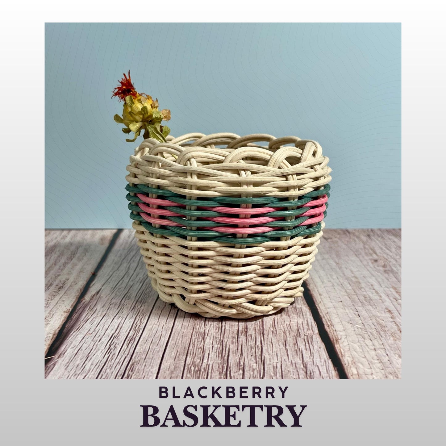 Cherokee Double Walled Basket "Prickly Pear" - Hand Woven Dyed & Natural Reed | Native American Art by BlackberryBasketry