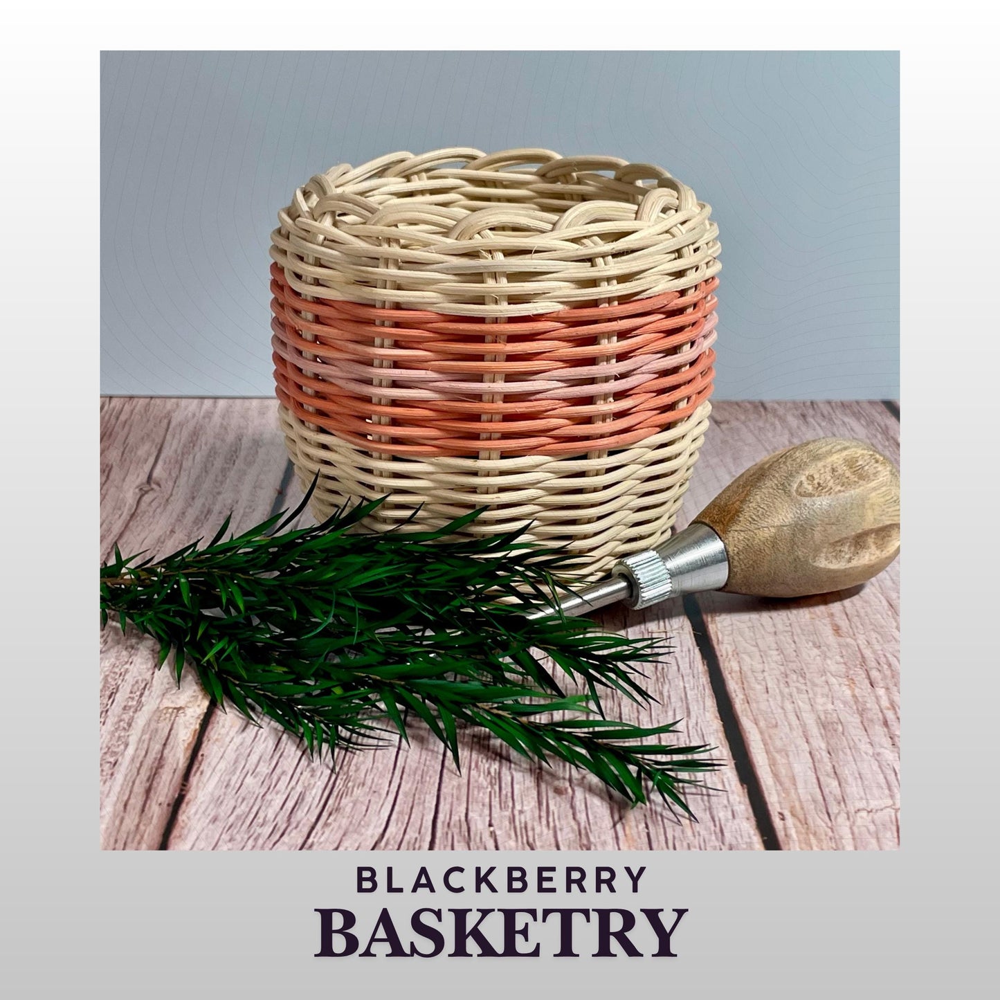 Cherokee Double Walled Basket "Sage" – Hand Woven Reed | Native American Art by Blackberry Basketry